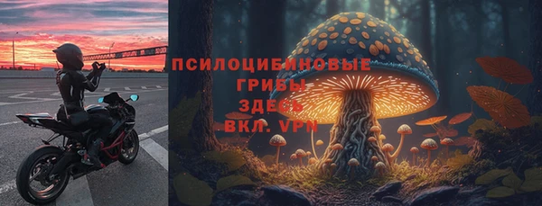 меф Алексин