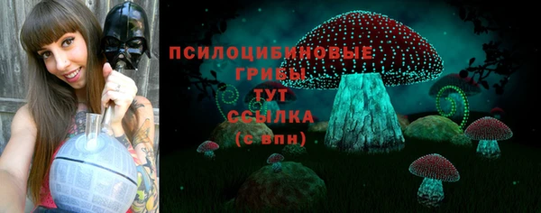 меф Алексин