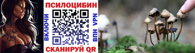 Псилоцибиновые грибы MAGIC MUSHROOMS  KRAKEN ТОР  Арамиль 